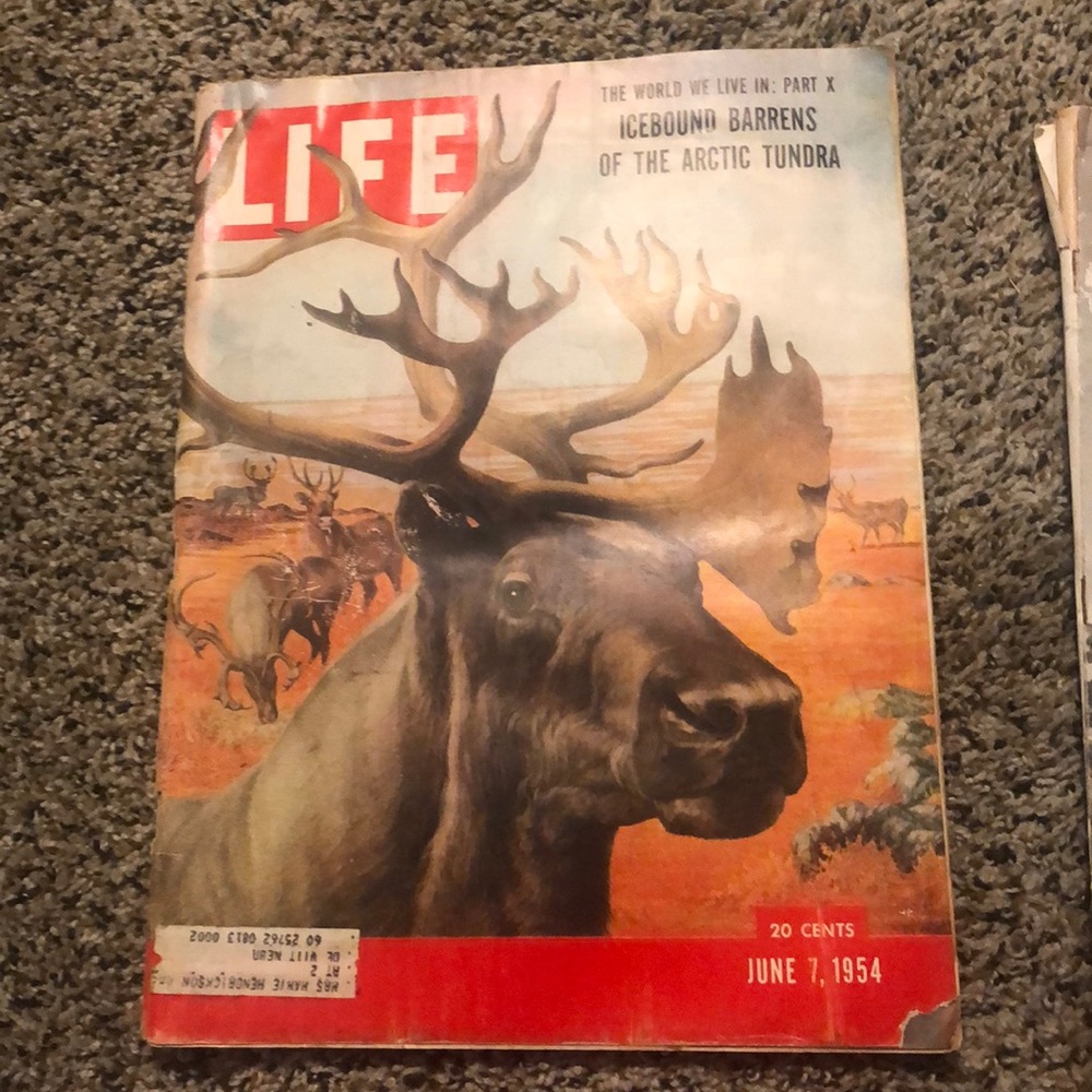Life magazines